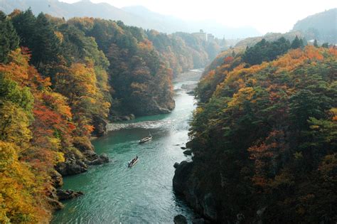 鬼怒川 日帰り温泉 食事付き：温泉と食の融合が生む新たな旅の形