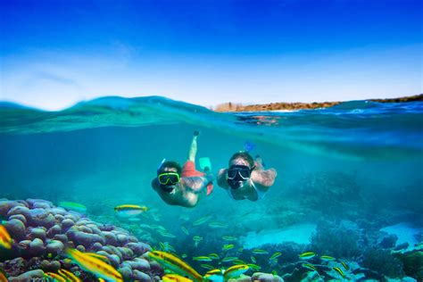 水納島 シュノーケリング: 海の底で見つけた宇宙の扉